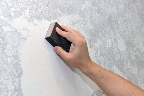 Best Mold Remediation for Vacation Homes  in Borger, TX