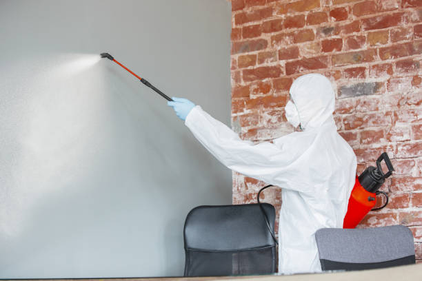 Biohazard Mold Removal in Borger, TX