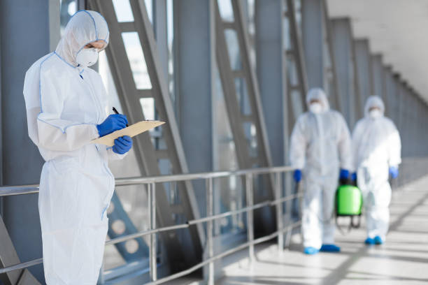 Best HVAC Mold Inspection and Cleaning  in Borger, TX
