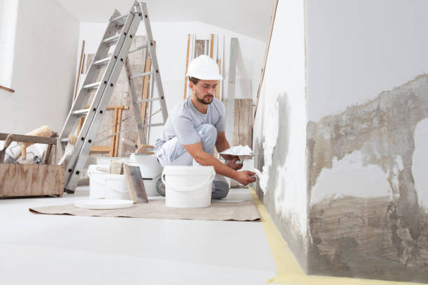 Best Attic Mold Removal  in Borger, TX