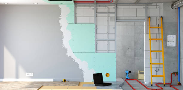 Borger, TX Mold Removal Company