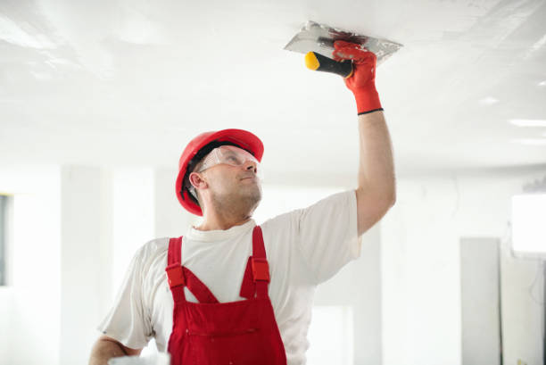 Best Real Estate Mold Inspection  in Borger, TX