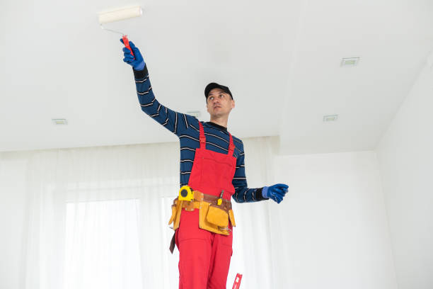 Best Mold Prevention Services  in Borger, TX