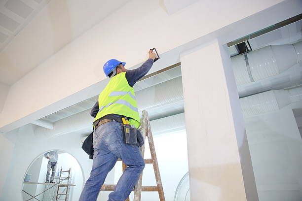 Best Mold Prevention Services  in Borger, TX