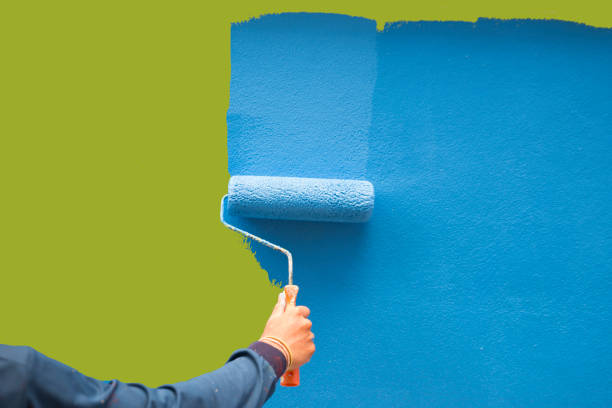 Borger, TX Mold Removal Pros